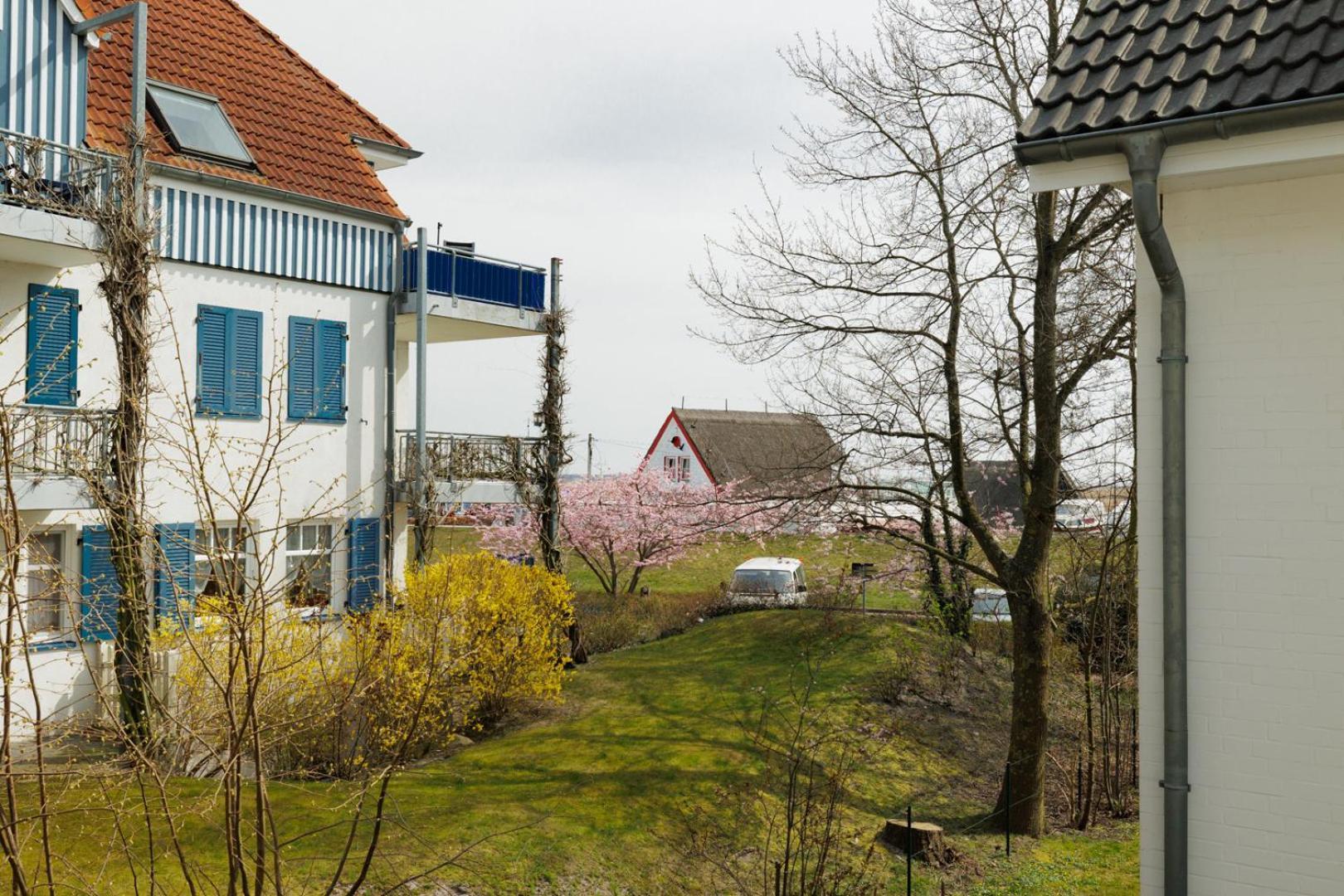 Boddenkieker 12 Daire Zingst Dış mekan fotoğraf